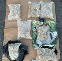 Vystudoval chemii a dal se na výrobu drog